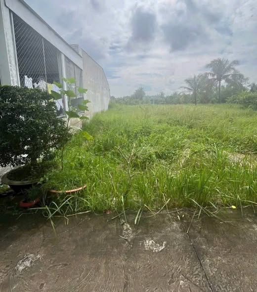 Đất 132,5m² Phường 7, Bến Tre hẻm xe 7 chỗ, sổ thể hiện đường đi, giá chỉ 1,1 tỷ