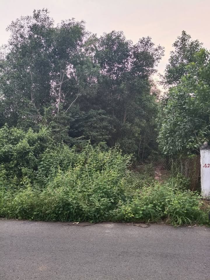 Đất Phước Thuận view biển Hồ Tràm - Giá mềm