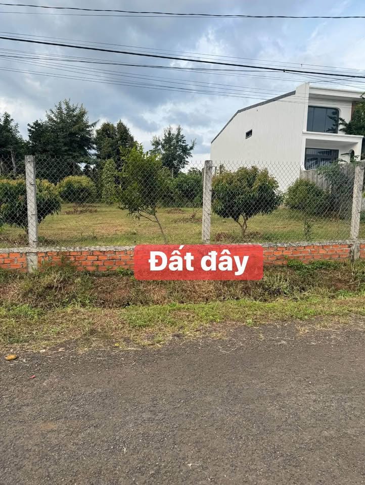 5 Lô đất tặng vườn trái cây tại phường Buôn Ma Thuột, Đắk Lắk