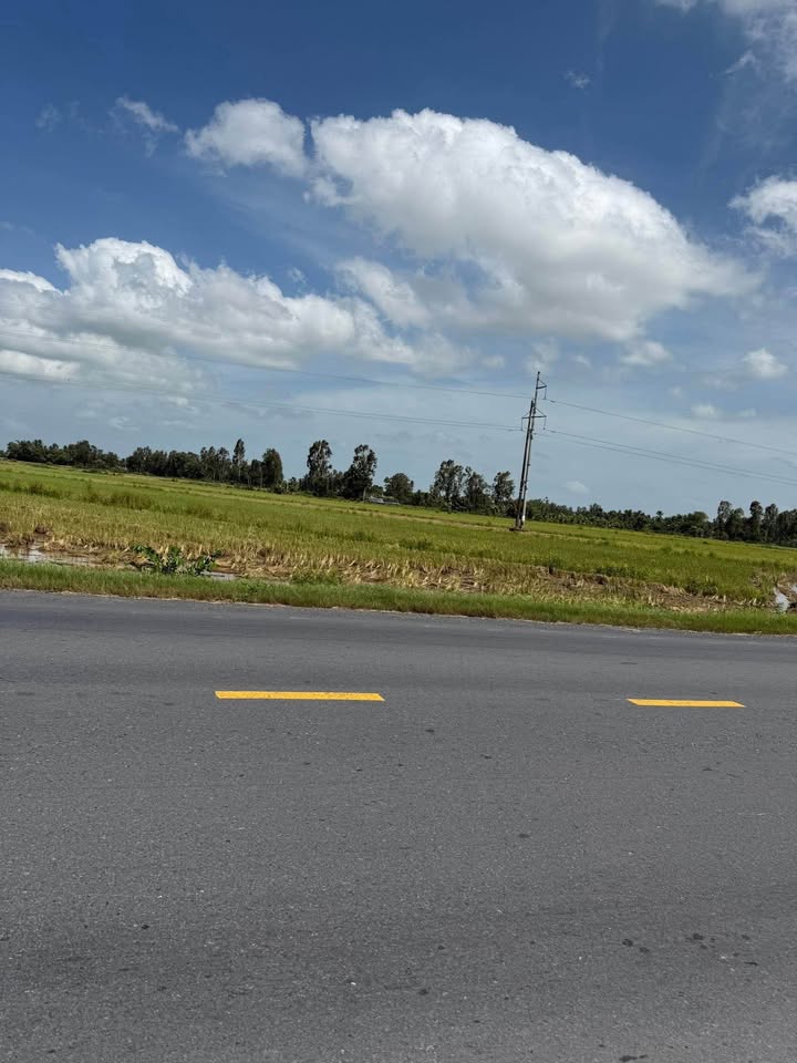 Miền Tây Hậu Giang đất lúa vàng rực rỡ ven quốc lộ, vượng khí sinh tài