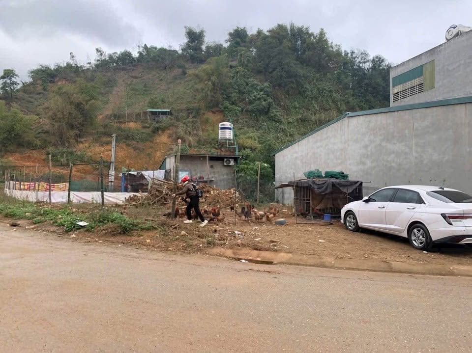 Siêu phẩm đất 2 mặt tiền ngay chợ xã Cam Đường, Lào Cai đã chính thức lên sàn