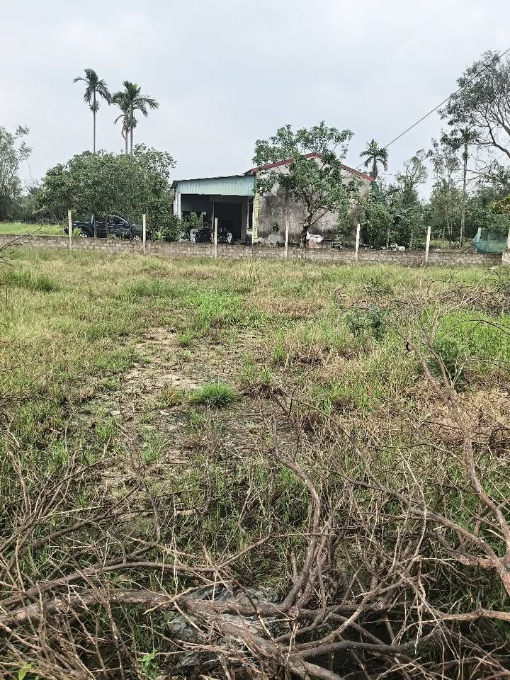 Mảnh đất Cẩm Thăng - Nơi an cư và đầu tư lý tưởng