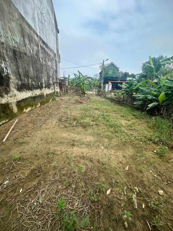 Mảnh đất vàng Kim Long nơi an cư lý tưởng