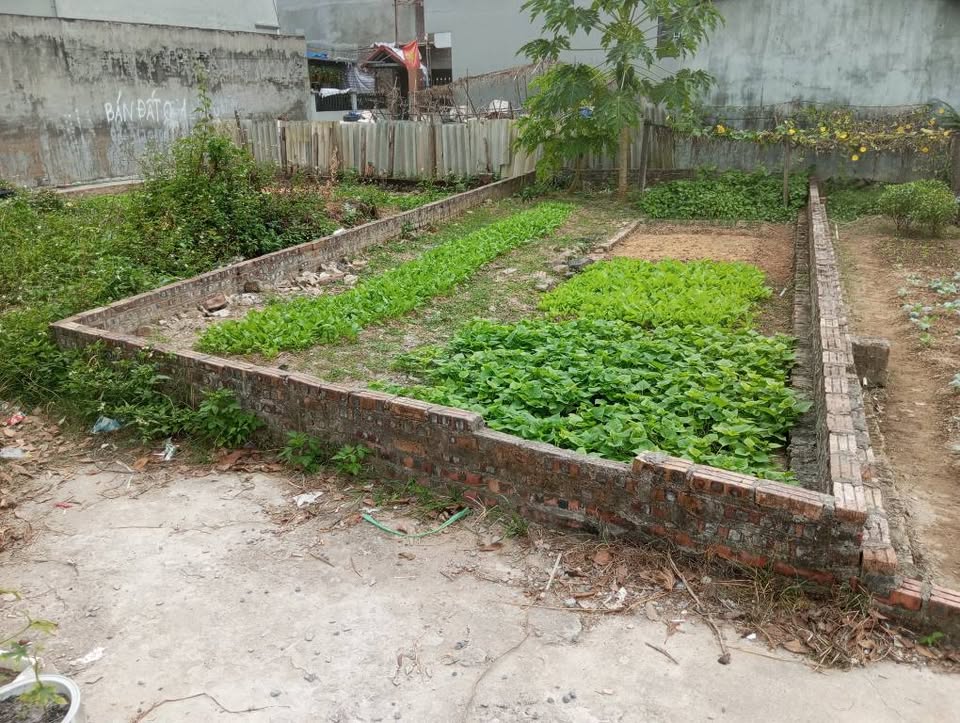 Đất Xuân Bách, Nội Bài48,6m² sổ sẵn, ô tô vào tận nơi, gần khu công nghiệp xịn sò