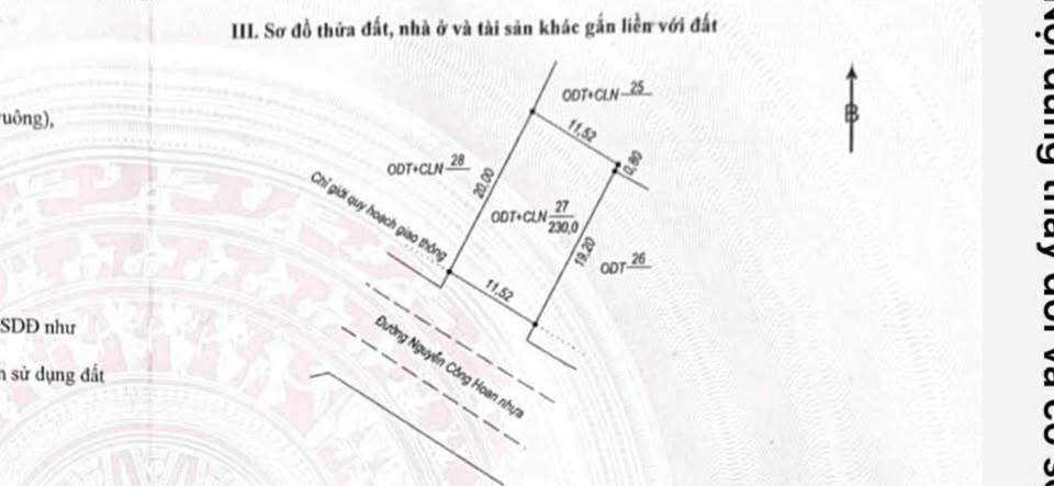 Miền ký ức đất vàng Nguyễn Công Hoan, Đồng Hới nơi tương lai nở rộ