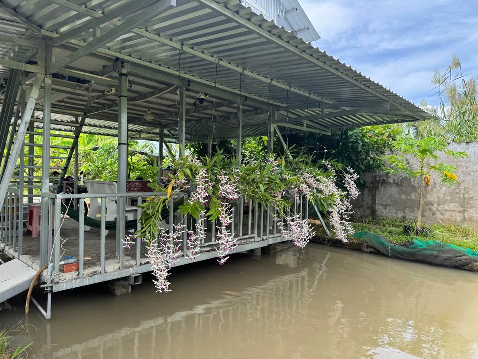 Bán nền mặt tiền kênh 621m2, vườn cây ăn trái, nhà mát kiên cố chỉ 1,1 tỷ