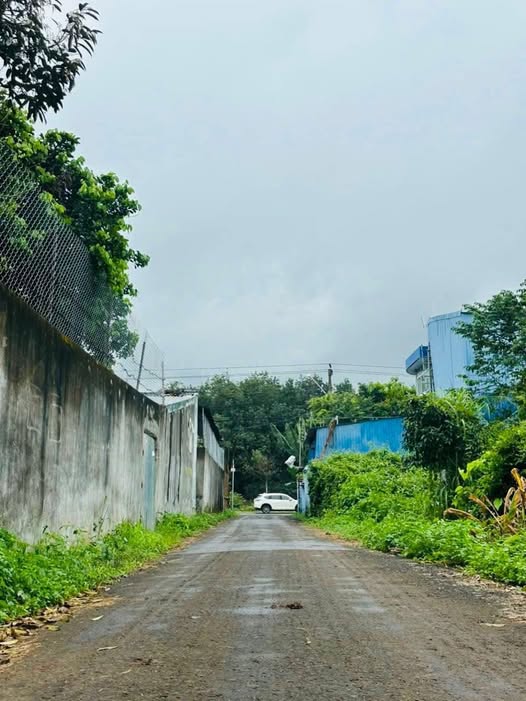 Bất động sản siêu phẩm 2 lô liền kề, đường 5m, giá chỉ 1,3 tỷ