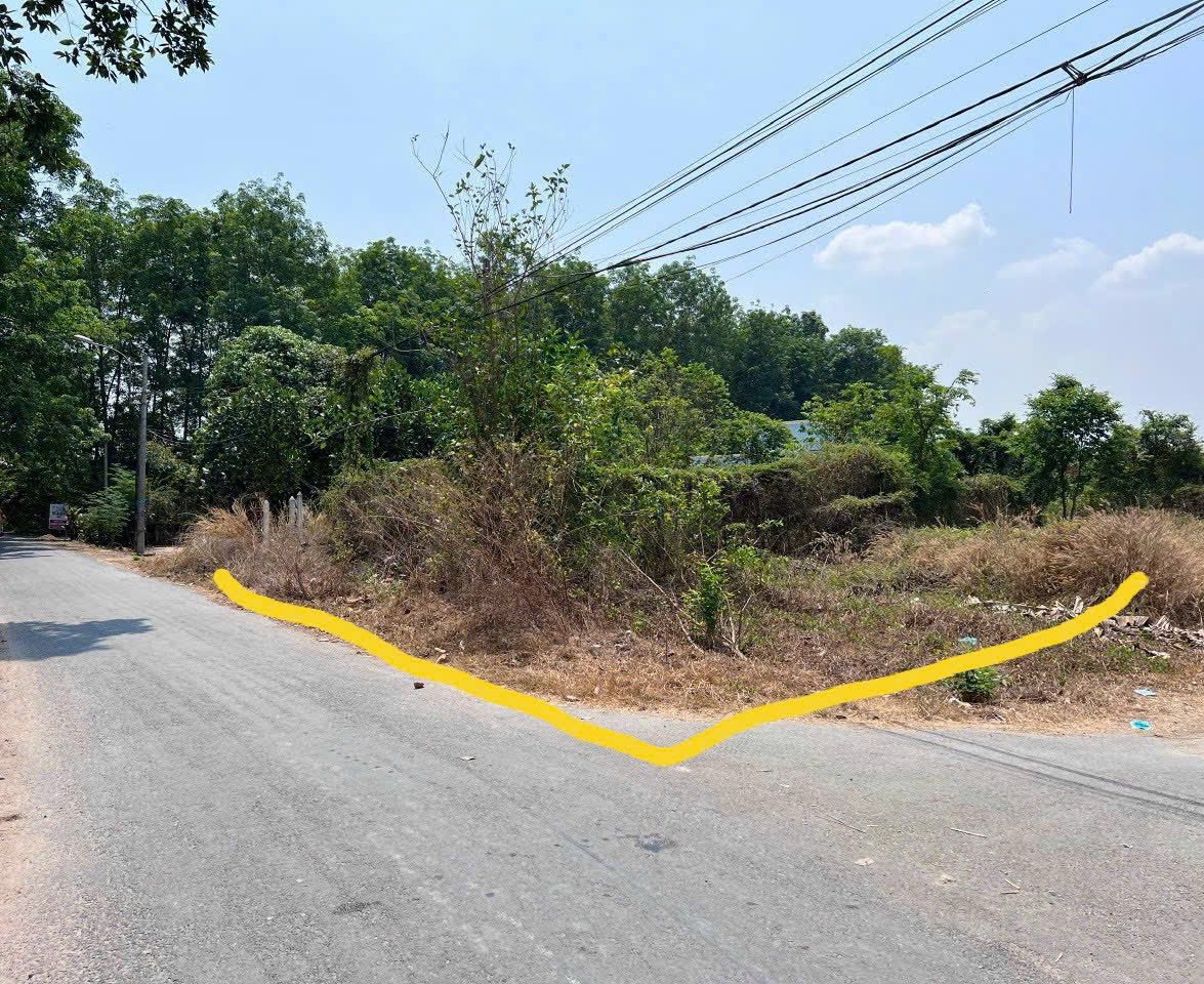 Diện tích x20m, full thổ cư, lại còn là lô góc 2 mặt tiền siêu thoáng