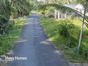 Nhà xưởng mặt tiền lộ nhựa, nở hậu tài lộc tại Bến Tre