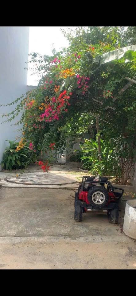 Đất Diên An, Nha Trang đường nhựa 5-6m, dân cư ổn định