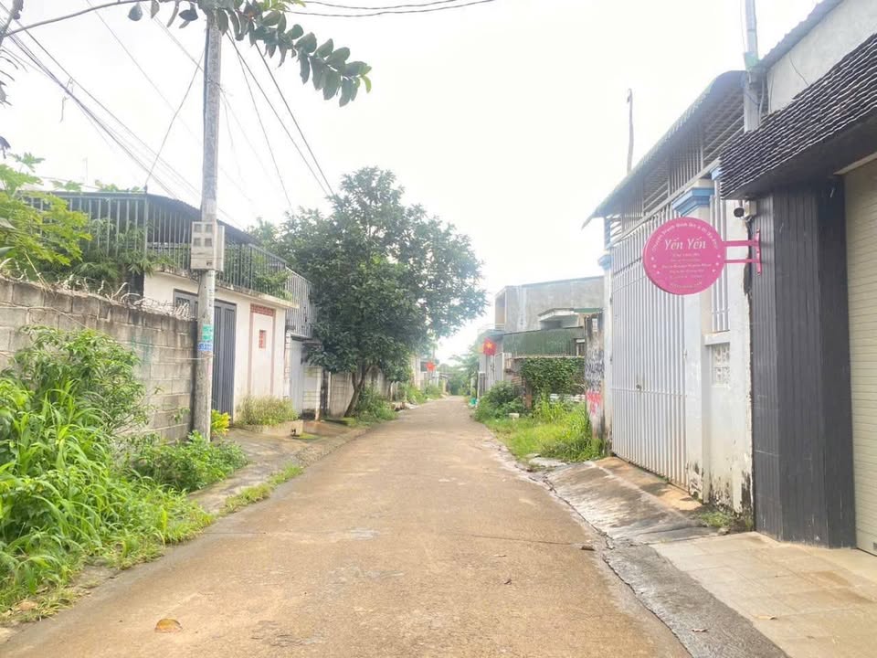 Đất hẻm Mai Hắc Đế, gần Ecoplace, giá tốt nhất khu vực