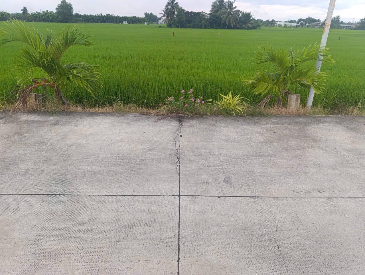 Đất thổ cư chính chủ, mặt tiền đường 6m tại Bình Trinh Đông, Tân Trụ, Long An