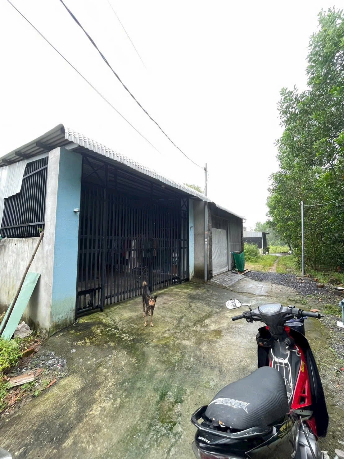 Nhà 100m2 full sổ, đường ô tô, giá hời 700 triệu Nhơn Trạch, Đồng Nai