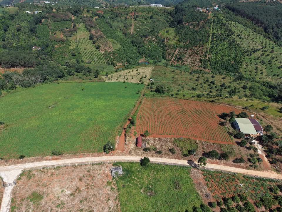 Siêu phẩm đất đẹp 9 hecta đang chờ chủ nhân mới tại trung tâm thành Gia Nghĩa, Lâm Đồng