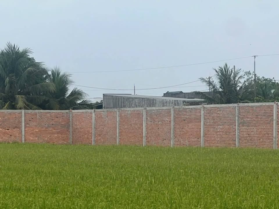 Đất thổ cư view đẹp, đường xe tải vi vu, xây dựng thả ga tại Đức Hòa, Long An