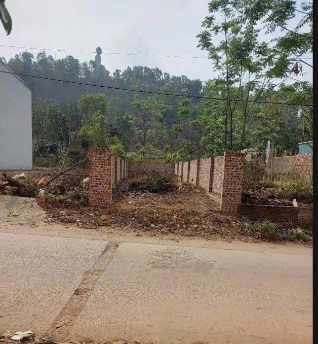 Đất vàng Vĩnh Phú lưng tựa núi, mặt hướng sông, sổ hồng trao tay