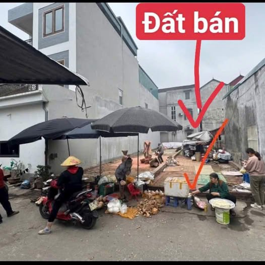 Đất Cầu Giấy 100m2 vuông vắn, ô tô tránh, giá 3,5 tỷ, đầu tư hay ở đều cháy