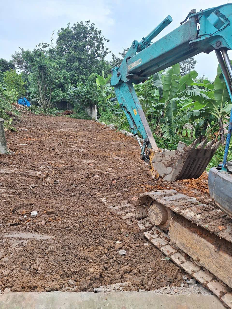 Cổng sau hướng Đạo, Tam Dương đất 100m2, giá hơn 800 triệu cơ hội vàng