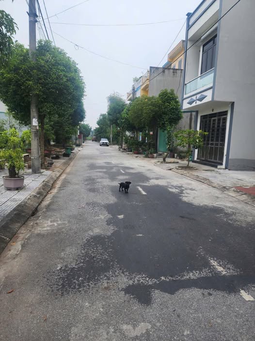 Cơ hội sở hữu căn nhà cấp 4 ấm cúng tại khu tái định cư Cửa Đình, phường Tiền Phong