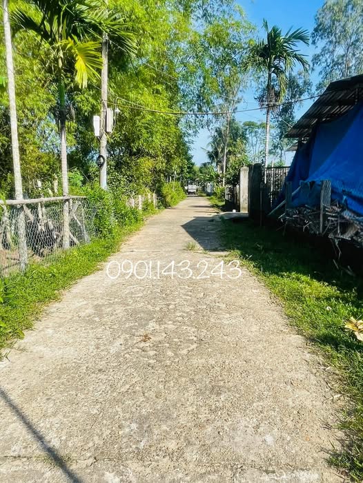 Lô đất An Phú - Nét xưa Tam Kỳ, hướng Đông Bắc đón gió lành