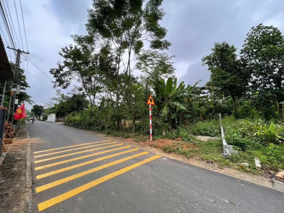 Mảnh đất 150m2 mặt đường nhựa kinh doanh, sổ đỏ bao tranh chấp tại Ba Vì