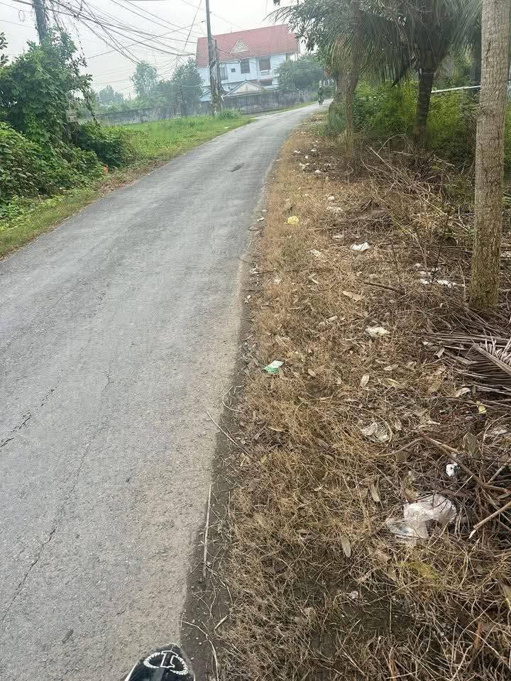 Cơ hội đầu tư hấp dẫn với 4 nền đất mới tại Ấp Thuận Bắc, xã Mỹ Lộc, Tỉnh Tây Ninh