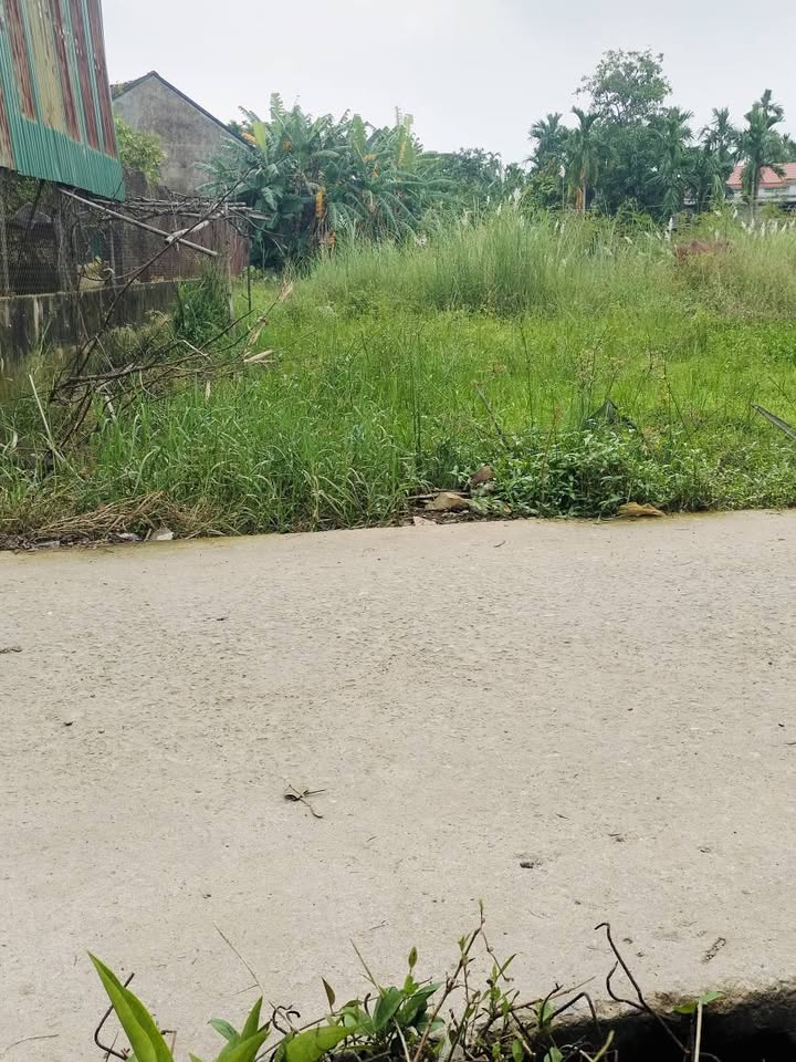 Cần bán lô đất thổ cư đẹp tại xã Nghĩa Trung, chỉ cách trung tâm thành phố Quảng Ngãi 1km