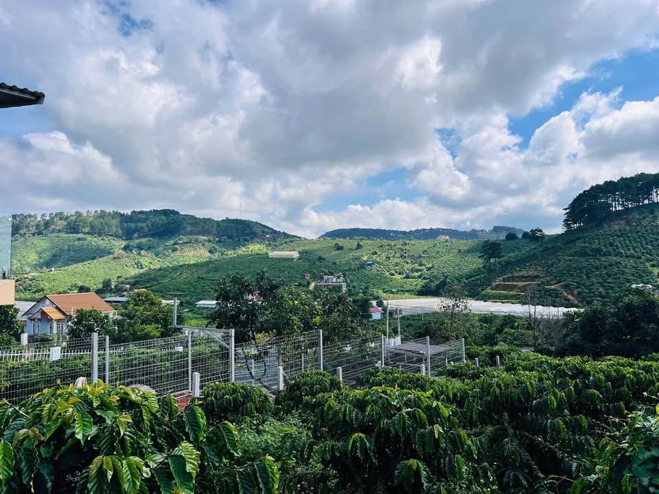 Đất ven Đà Lạt 239m² vuông vức, view thoáng, giá hời 790 triệu, chủ cần tiền gấp