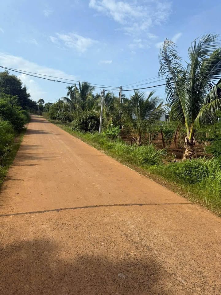 Đất Eabar 543m2 sổ riêng, đường ô tô tận nơi, giá hời như mua rau