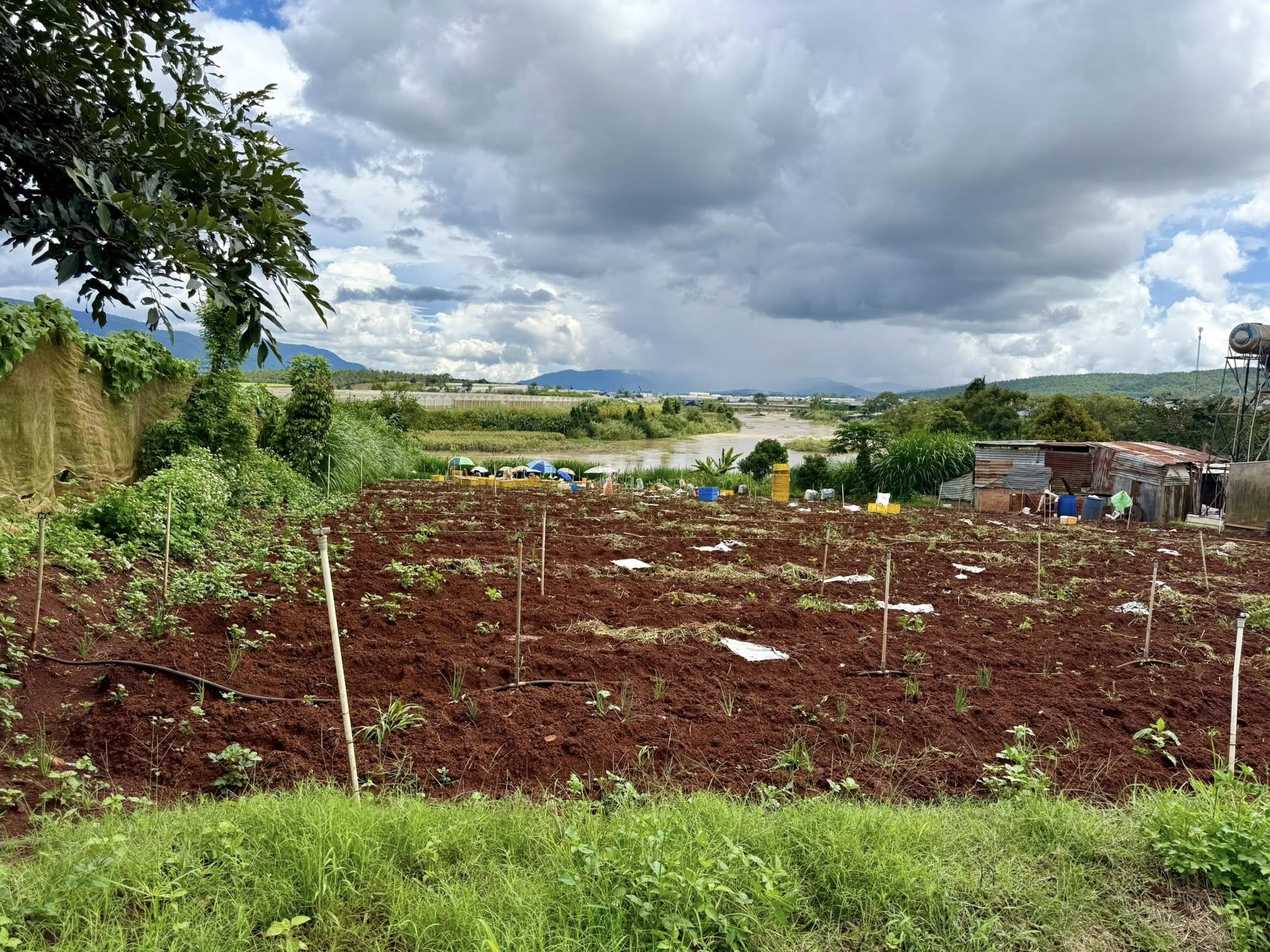 Đất view sông Đơn Dương - Thổ cư sẵn, mặt tiền rộng 26m, đầu tư sinh lời