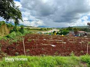 Đất view sông Đơn Dương - Thổ cư sẵn, mặt tiền rộng 26m, đầu tư sinh lời