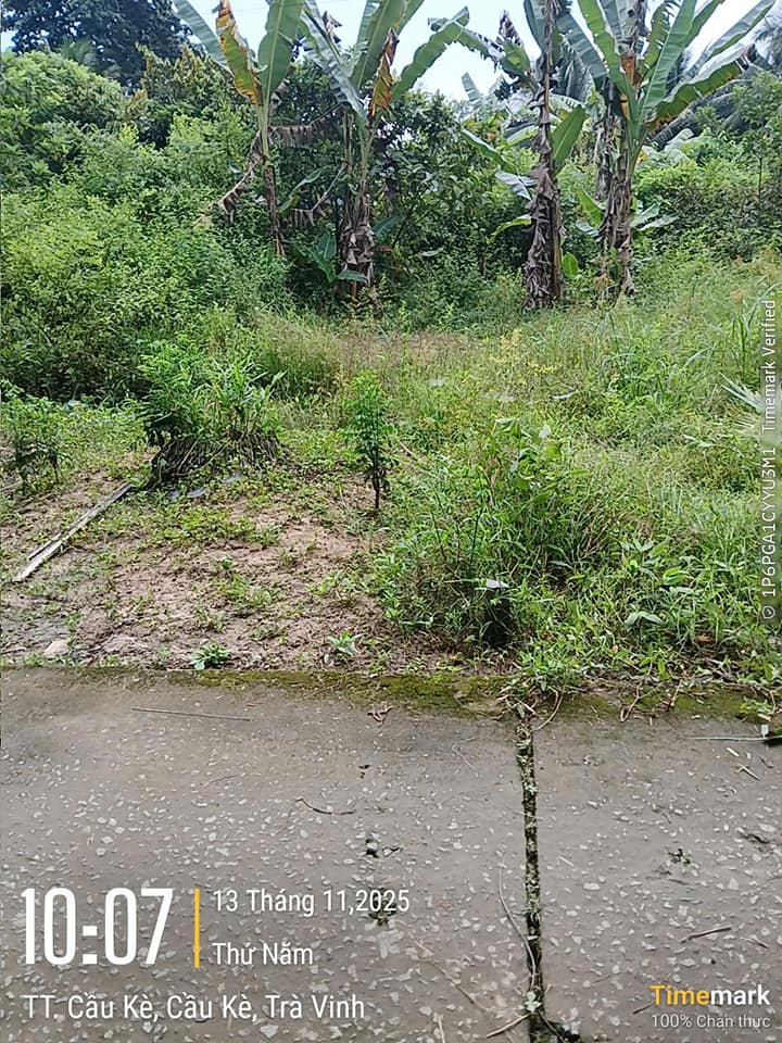 Mảnh đất vàng x32m tại Cầu Kè, Vĩnh Long, cơ hội đầu tư sinh lời