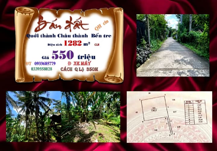 Đất Bến Tre 1282m² vườn tạp, hướng Nam, giá hời 550 triệu