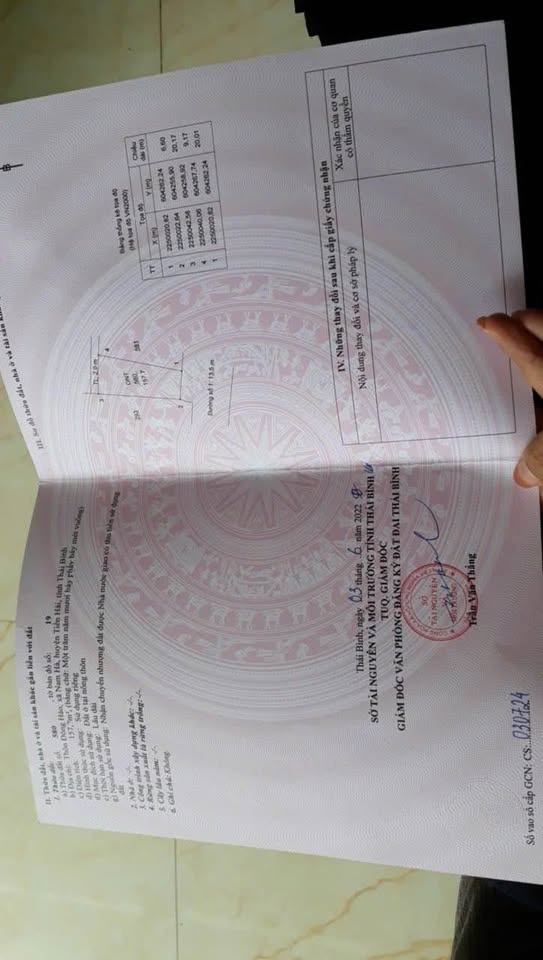 Chào mừng quý vị đến với mảnh đất vàng tại Nam Hà, Tiền Hải, Thái Bình