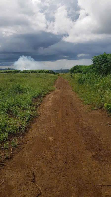 Đất view chill Đắk Nông, đầu tư là lời ngay