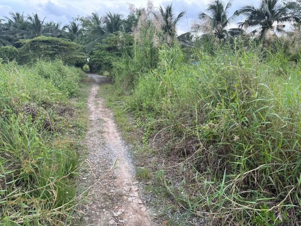 Bán đất vị trí đắc địa phường Phú Tân, Bến Tre