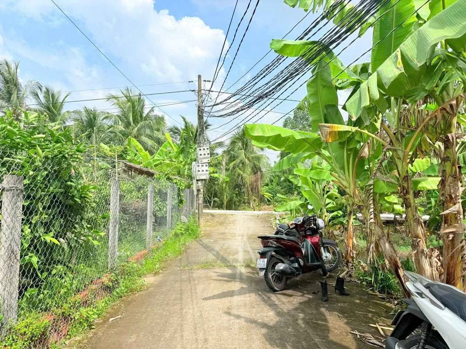 Đất nền Phú Tân, Bến Tre 2 nền liền kề, ô tô tới đất, giá chỉ 490 triệu/nền