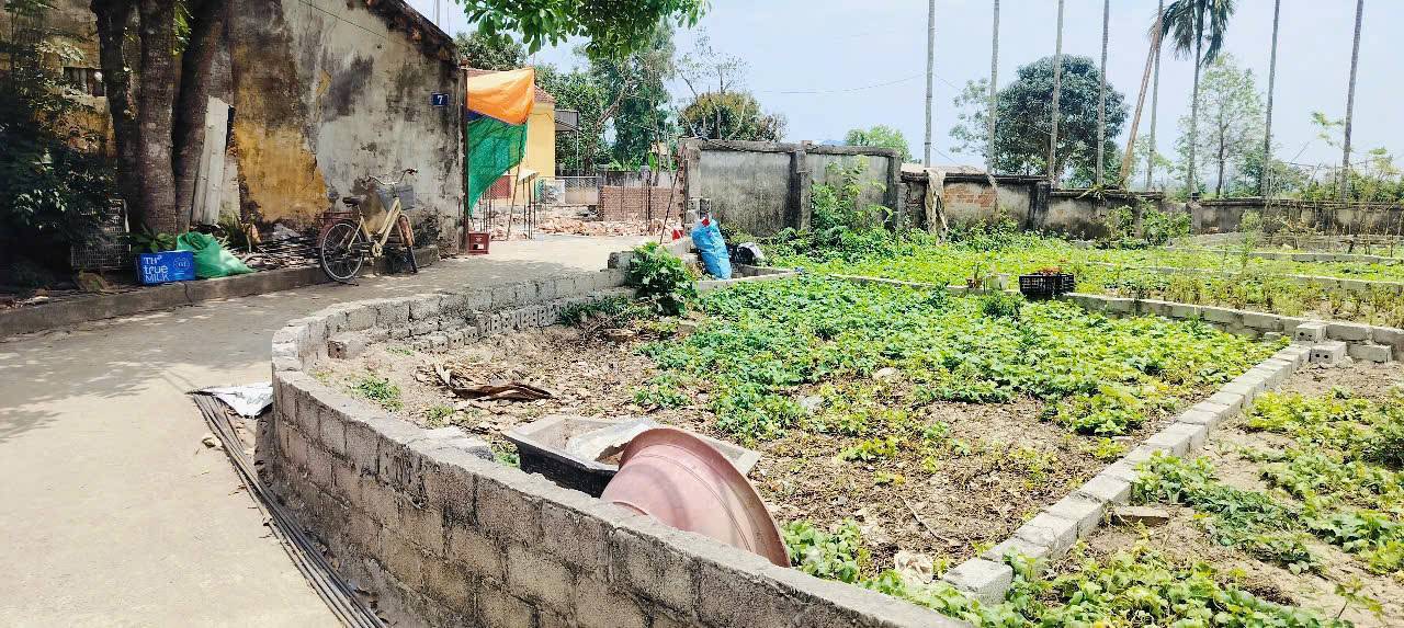 Bán gấp lô góc Dân Hòa, Thanh Oai diện tích 40,5m2, giá nhỉnh 2 tỷ