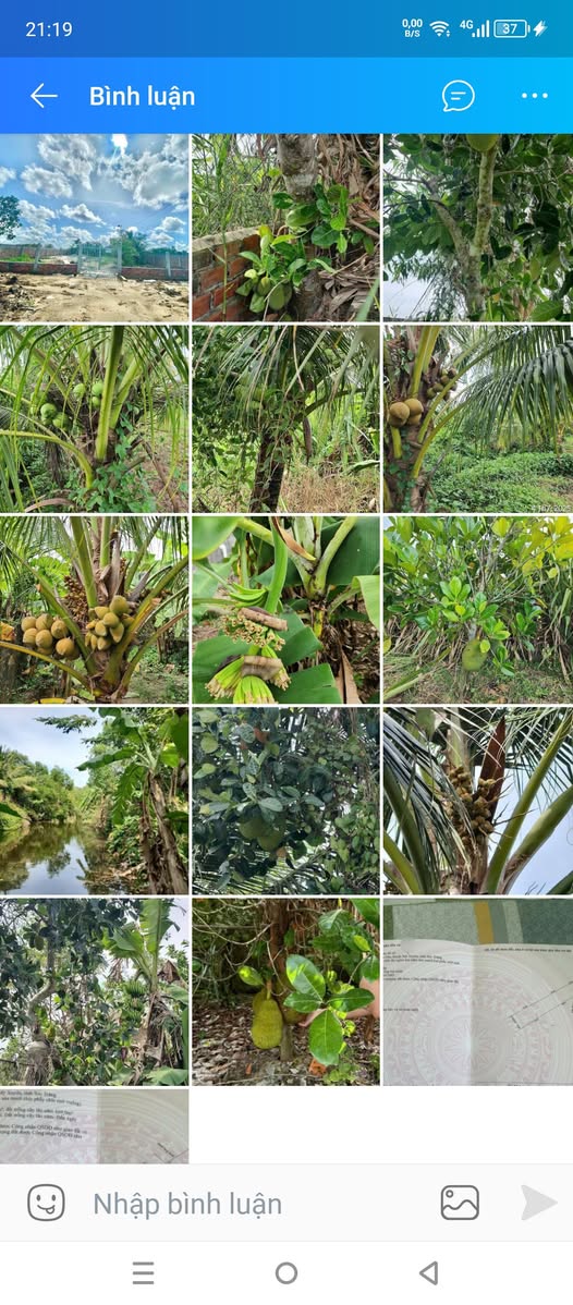 Bán đất vườn 4.,52m2 mặt tiền Tỉnh Lộ 936, Sóc Trăng