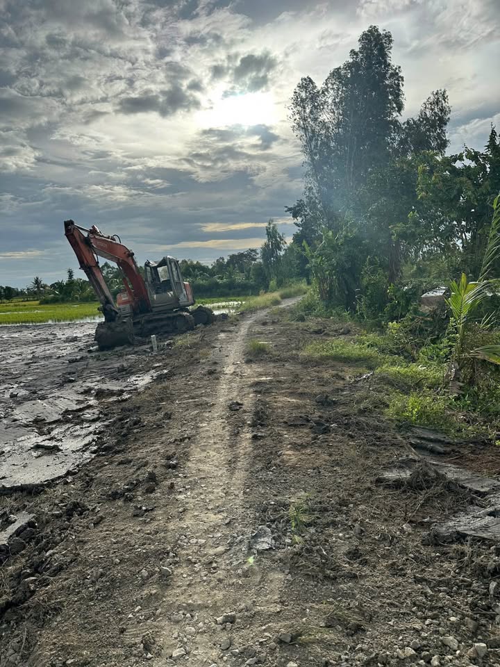 Bán đất vườn 1.100m² mặt tiền 14m, lộ xe tải tới đất - An Giang