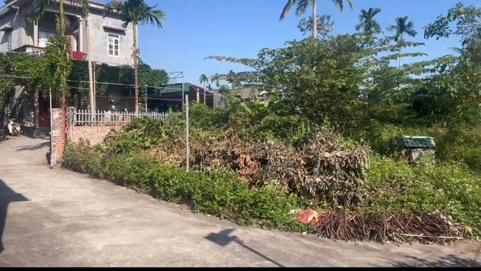 Đất Thanh Hà, Hải Dương gần 600m2, giá chỉ hơn 1 tỷ, Xây biệt phủ thì hết ý