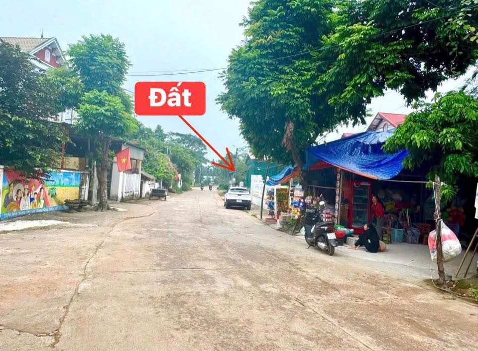 Đất trục chính Thanh Vân kinh doanh đỉnh cao, giá hời