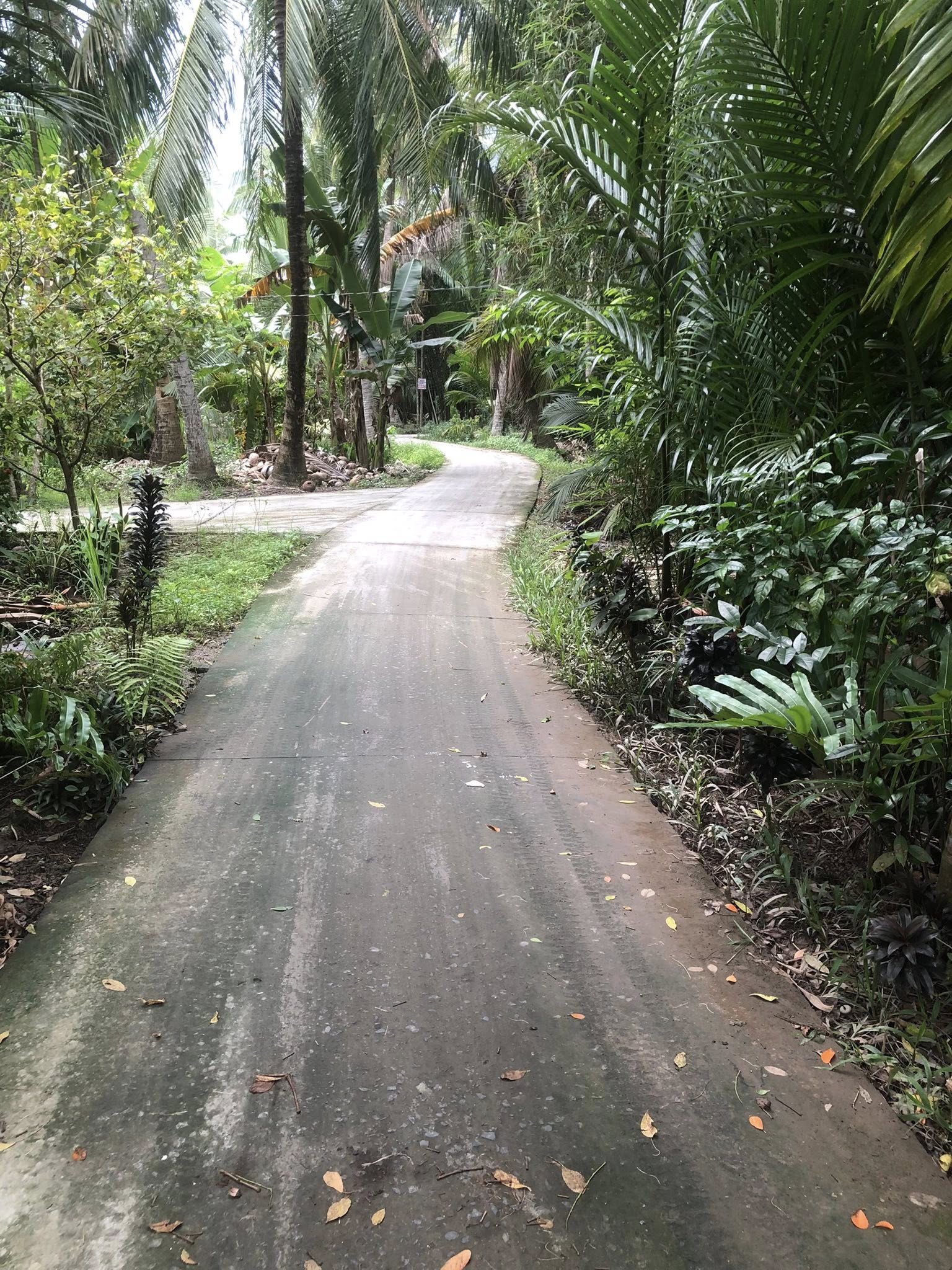 Bán đất vườn Bến Tre 396m2, có nhà cấp 4, giá tốt