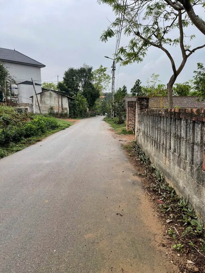 Đất Vĩnh Phúc 230m2 Đồng Thanh, Tam Đảo cơ hội đầu tư sinh lời