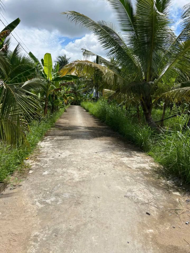 Bến Tre đất nền rộng rãi, mặt tiền 11-12m, xây nhà vi vu