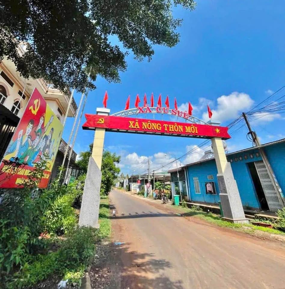 Bán đất thổ cư 150m2 thôn 3 Cư Suê, đường nhựa rộng 10m, gần ủy ban nhân dân