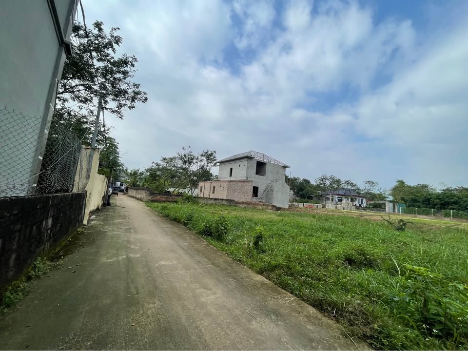 Bán đất 114m2 mặt tiền 5m, thôn Kiên Tháp, Tam Dương, Vĩnh Phúc - Giá tốt