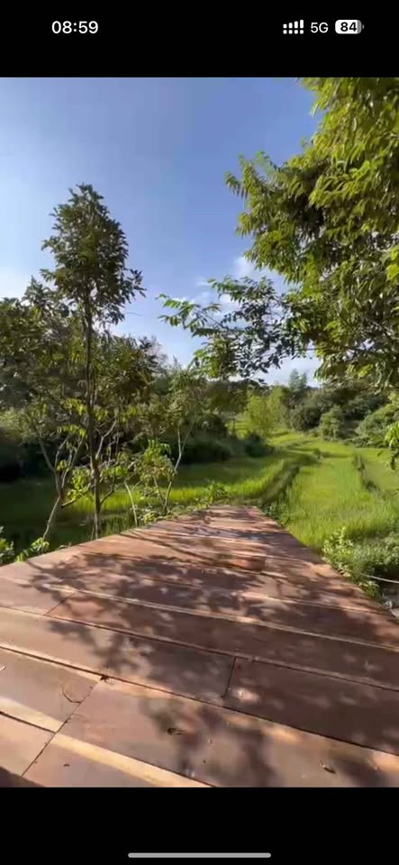 Miền đất hứa 1,2 ha đất view đồng ruộng tại Chư Păh, Gia Lai