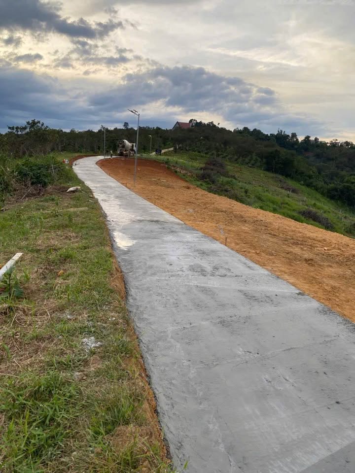 Đất sào Lâm Đồng giá rẻ giật mình, chỉ 280 triệu