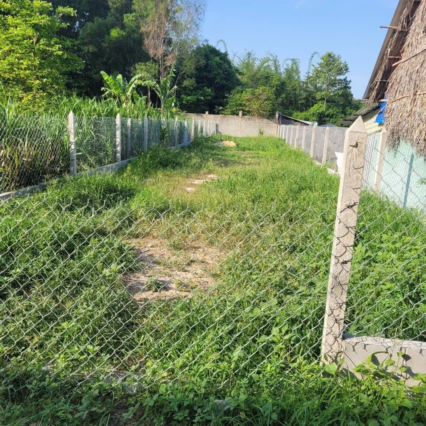 Đất Củ Chi full thổ cư, đường xe hơi tới đất - Giá chỉ 3.4 tỷ